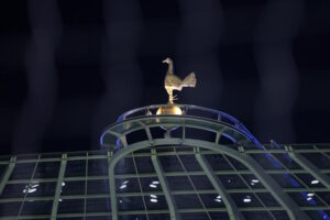 Transfer Update: ‘Too Good’ – Former Tottenham Star Convinced Spurs ‘Definitely’ Bringing Talent Back