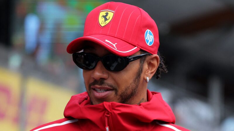 Drive to Survive: Lewis Hamilton’s Reaction to Christian Horner Being Booed at F1 Show