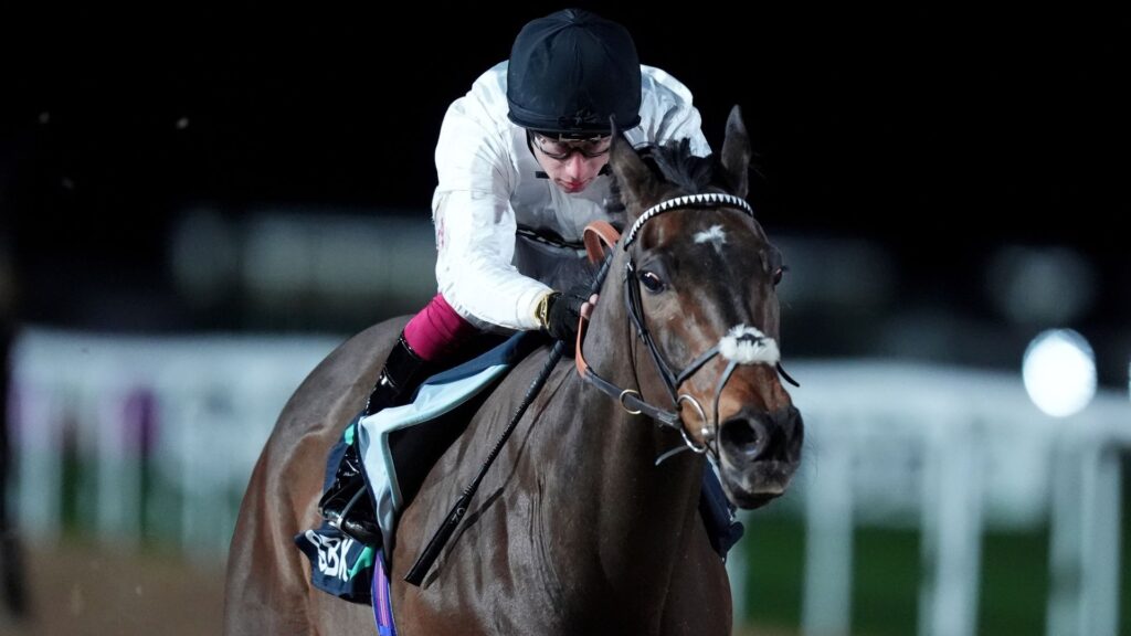 Constitution Hill dazzles on Flat debut at Southwell