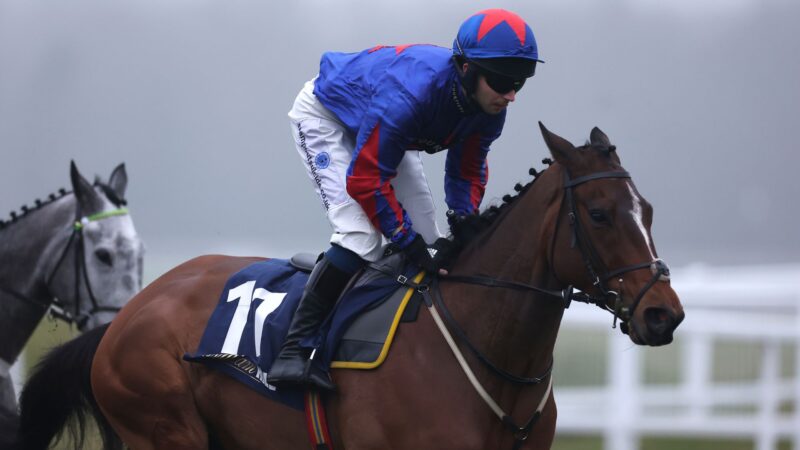 Josh The Boss fancied to cause Greatwood upset at Newbury