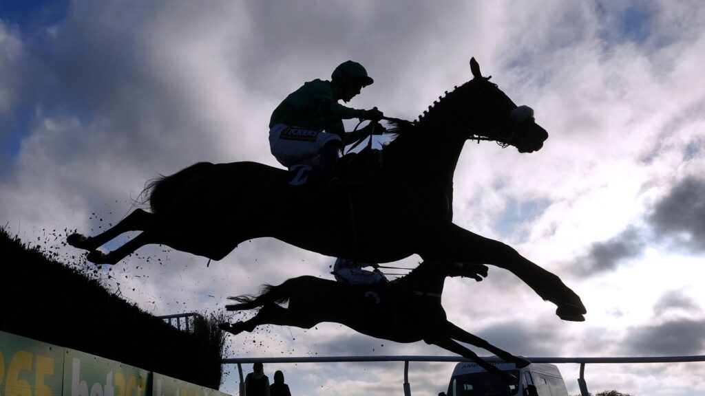 Eider Chase and Winter Derby headline exciting Saturday cards