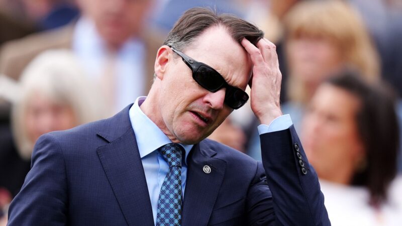 Albert Einstein and Gstaad taken out of Guineas due to clerical error — Key Details