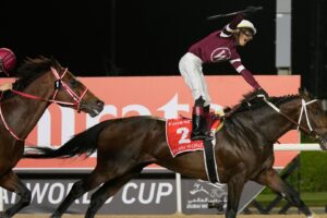 Update: Magnitude wins Dubai World Cup after Calandagan and Ombudsman triumph