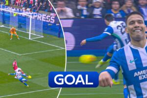 Magnificent effort! Gomez volley fires Brighton in front!