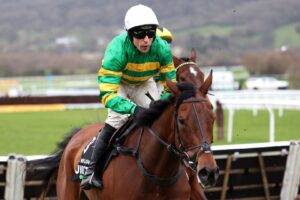 The emerging Lion leads nine hunting Champion Hurdle crown