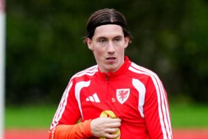 Update: Wales vs Bosnia team news LIVE! — Full Story