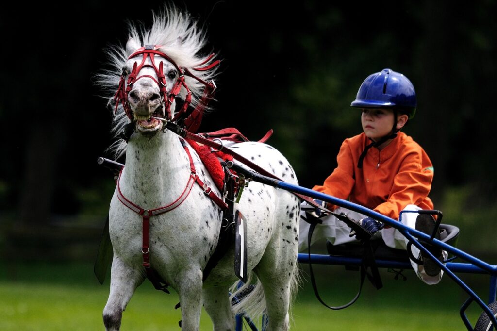 Darting Stars Luke Littler and Stephen Bunting Enter the World of Racehorse Ownership