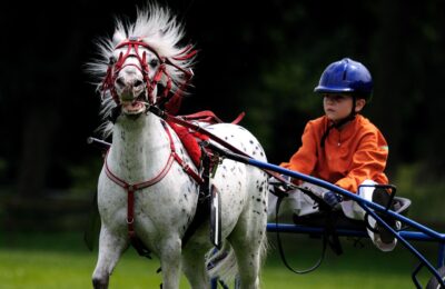 Darting Stars Luke Littler and Stephen Bunting Enter the World of Racehorse Ownership