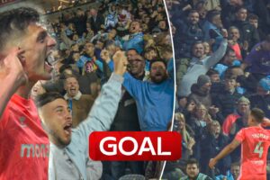 Absolute SCENES! Wild celebs as Coventry equalise to seal Premier League promotion!