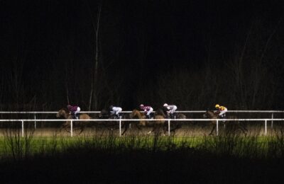 Artagnan and Gold Star Hero clash at Wolverhampton