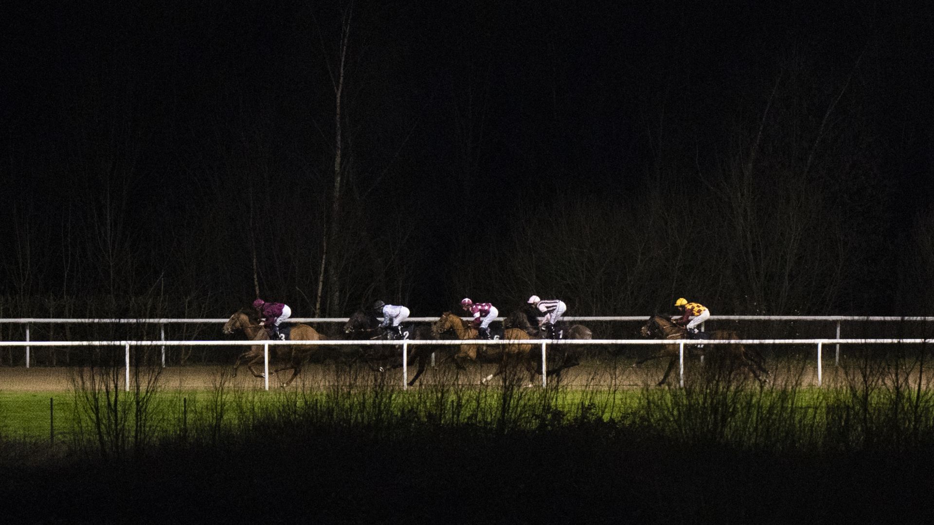 Artagnan and Gold Star Hero clash at Wolverhampton