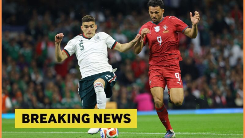 Contact made: Newcastle United in mix to sign 24-year-old striker