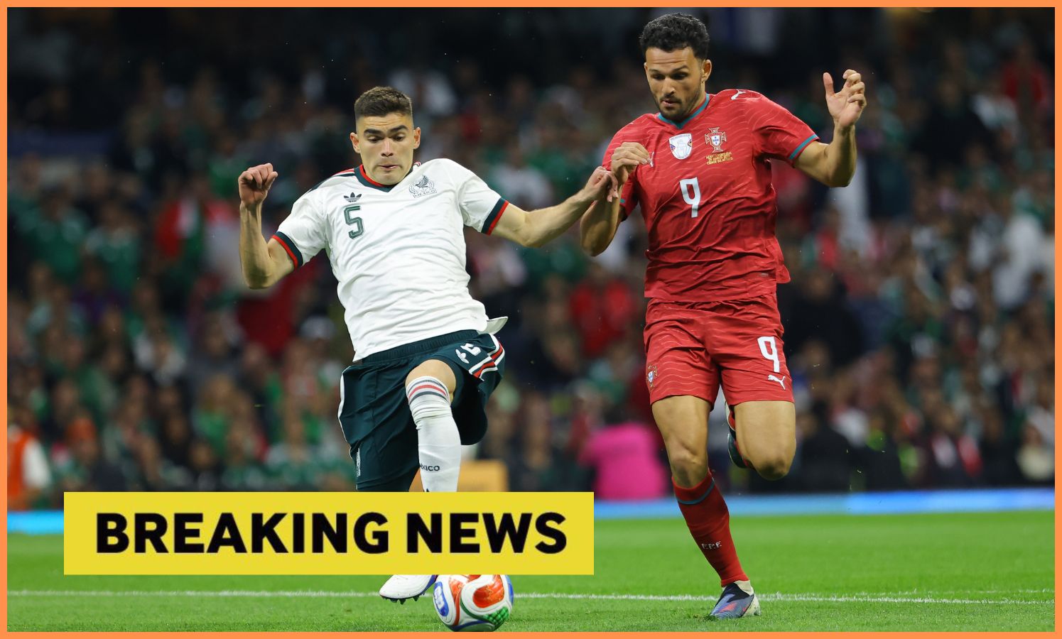 Contact made: Newcastle United in mix to sign 24 year old striker