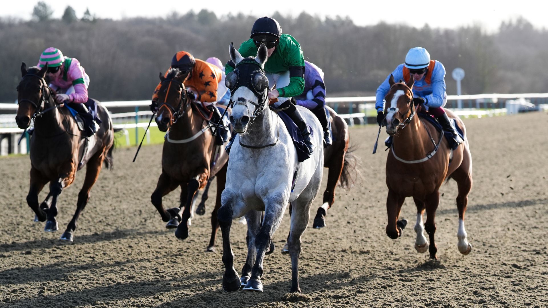 Harlington chases the four timer at Lingfield