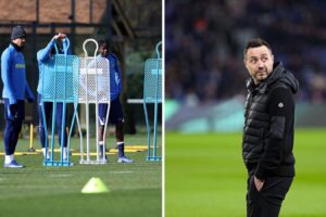 How Tottenham players feel about Roberto De Zerbi after first training session