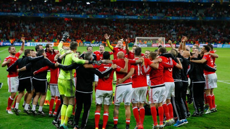 ‘I still don’t know how we lost to Wales at Euro 2016. Maybe some people were treated like superstars’ Belgium star lifts the lid on loss to Wales at Euro 2016