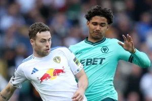 ‘It Is A Privilege’ – Wolves Stars Savaged For Lack Of Elland Road Desire By Former PL Man