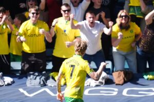 Millwall’s automatic promotion hopes suffer blow with Norwich loss
