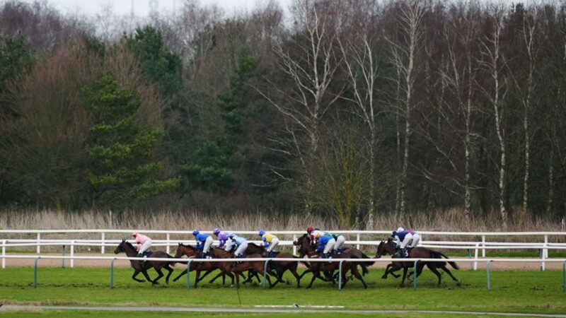 Analysis: Novelista chases a first success at Southwell
