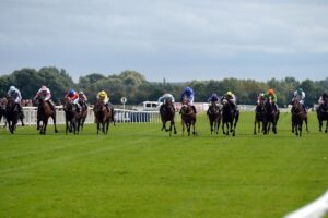 Seven Questions and Dyonisos go for Silver Trophy glory