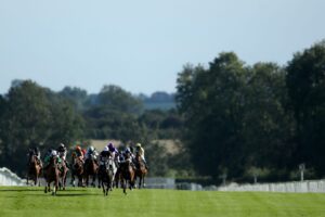 Sixtygeesbaby takes on Ripon feature — Key Details