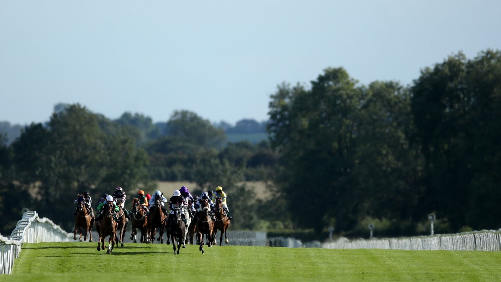 Sixtygeesbaby takes on Ripon feature