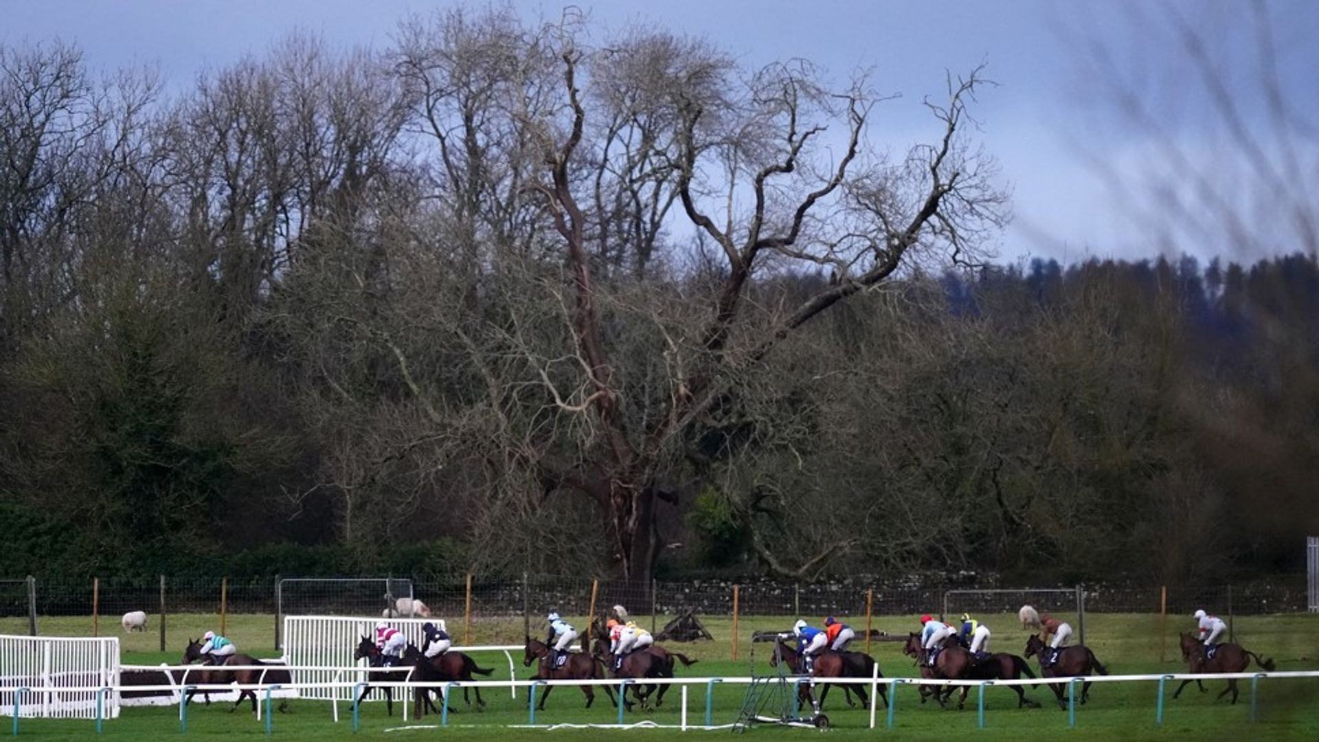 Today on Sky Sports Racing: Hurricane Pat headlines Chepstow action