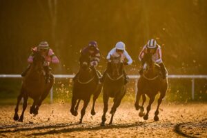 Today on Sky Sports Racing: Wolverhampton & Sedgefield feature on Friday