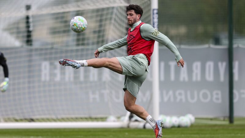 Tottenham Hotspur second summer signing revealed: report — Key Details
