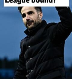 Why admiration for Como boss Fabregas is growing