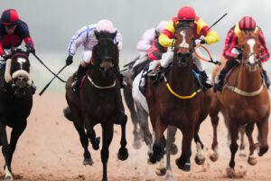 Yazin and Golden View clash at Southwell