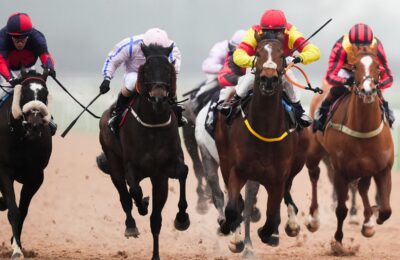 Yazin and Golden View clash at Southwell