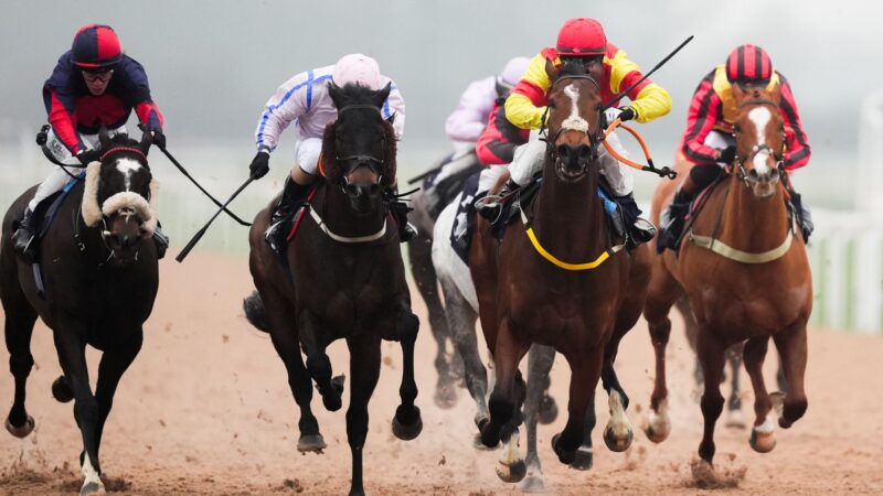 Yazin and Golden View clash at Southwell
