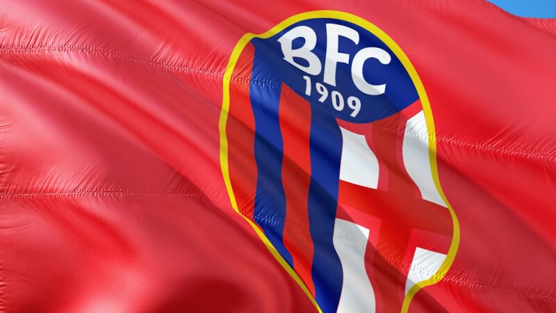Bologna Launch €60m Bid for Inter Midfielder Dejan Stankovic